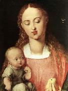 Madonna and Child with the Pear, Albrecht Durer